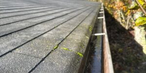 Professional Gutter Cleaning