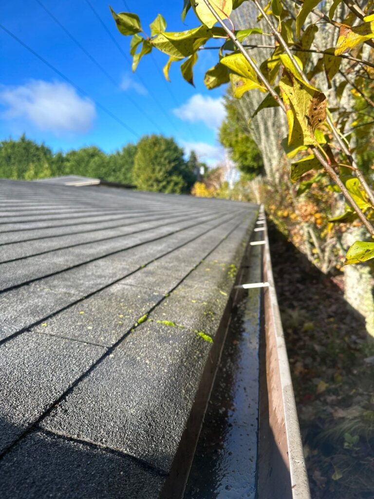 Gutter Cleaning