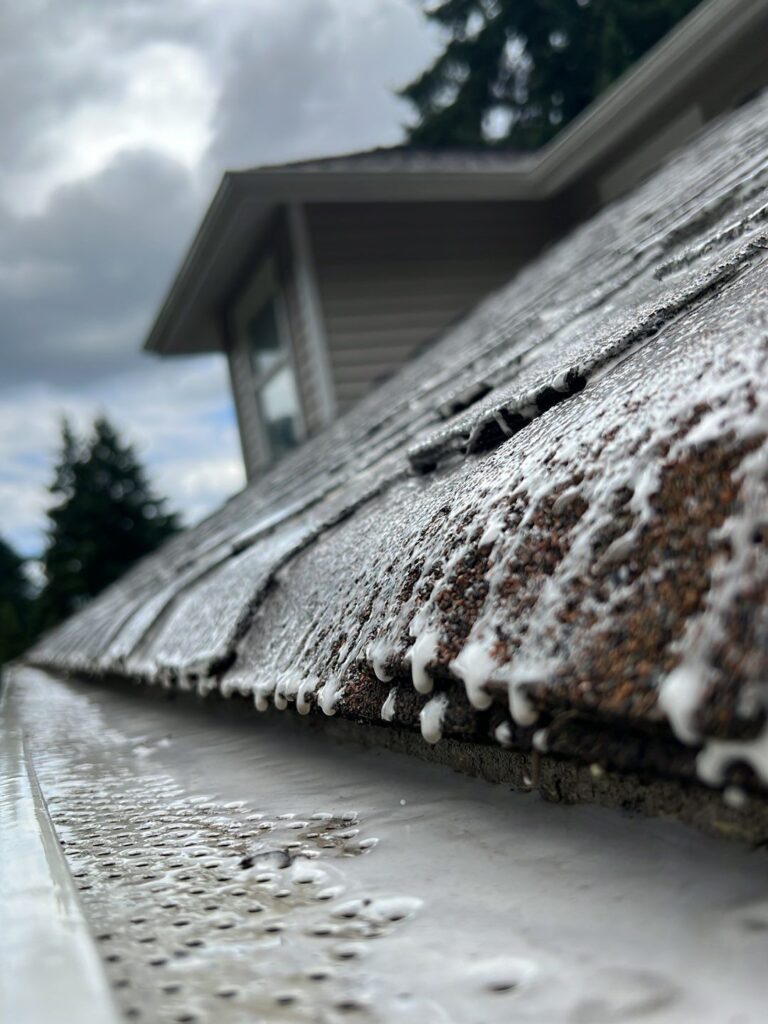 Tile Roof Cleaning