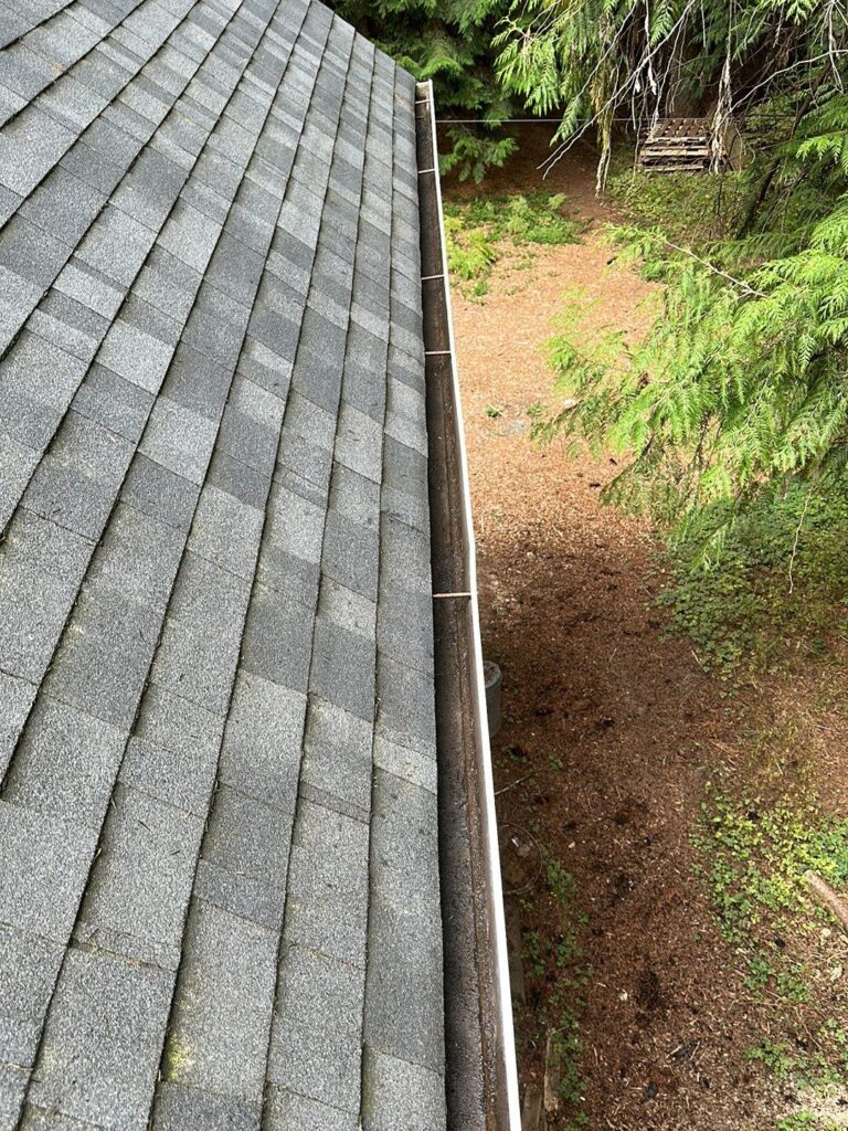 Roof and Gutter Cleaning