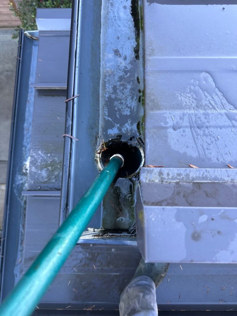 Gutter Cleaning