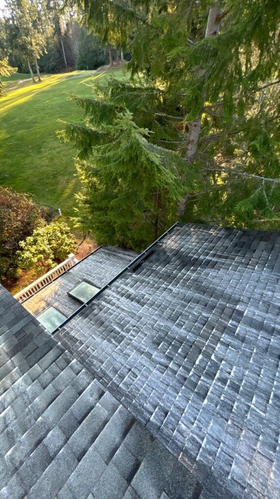 HG-RoofTreat1