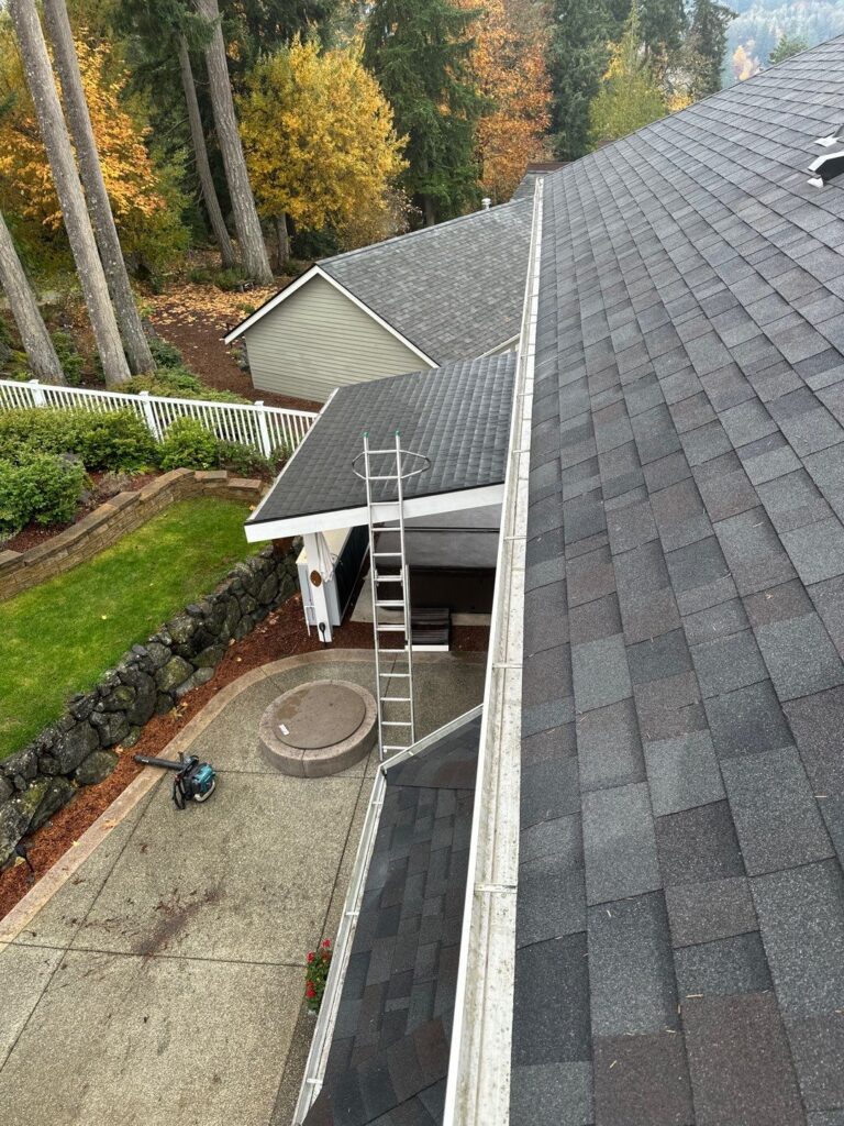 Gutter Cleaning Near Silverdale WA