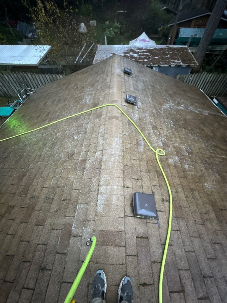 Soft Wash Roof Cleaning