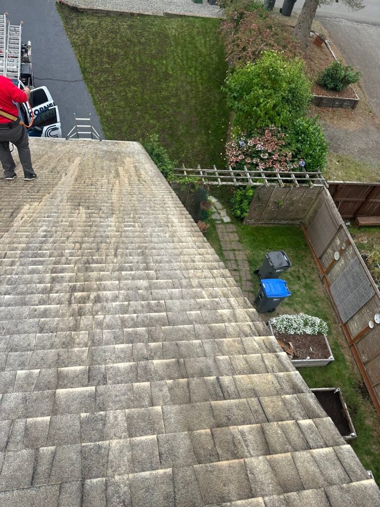 Roof Washing Services