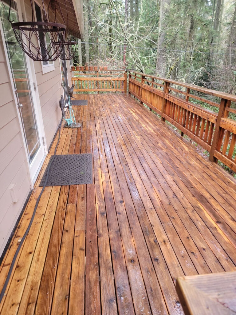 Deck Cleaning