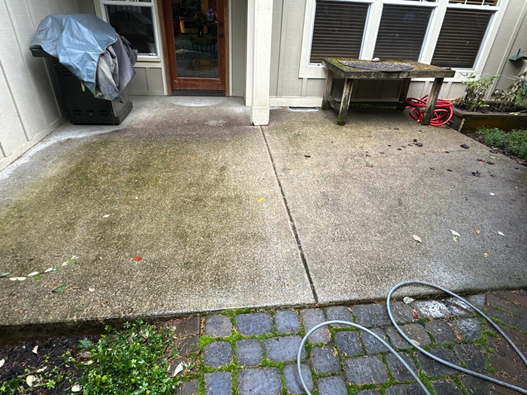 Patio Cleaning