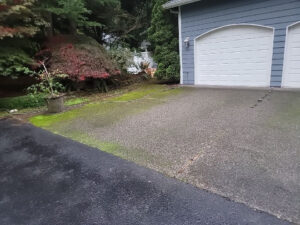 Pressure Cleaning Driveway