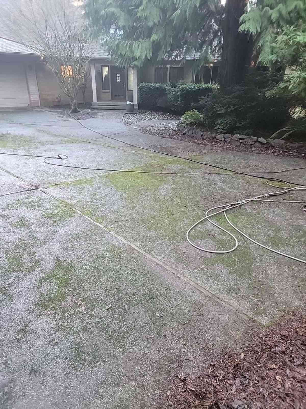 Dirty Driveway