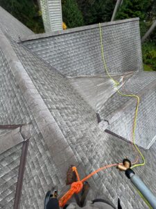 Roof Washing