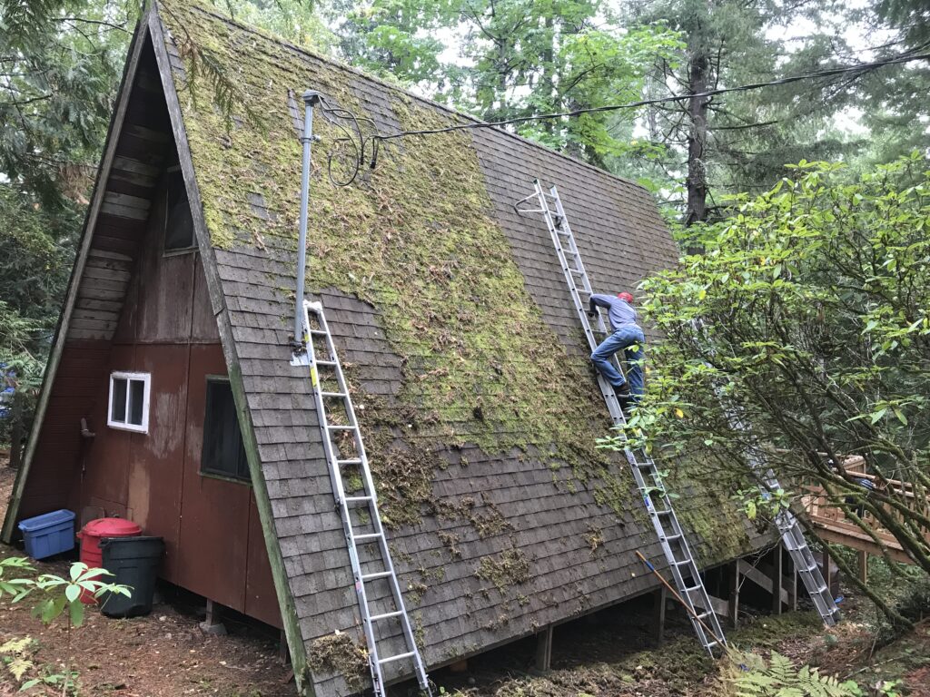 Roof Moss Removal