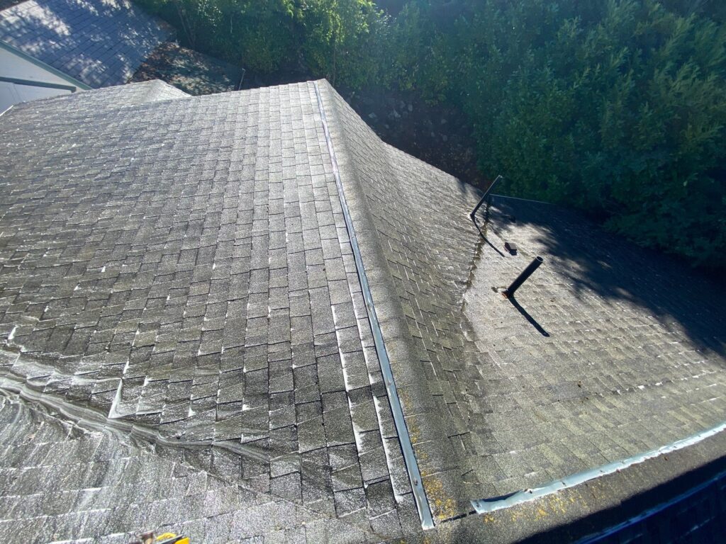 Roof Cleaning