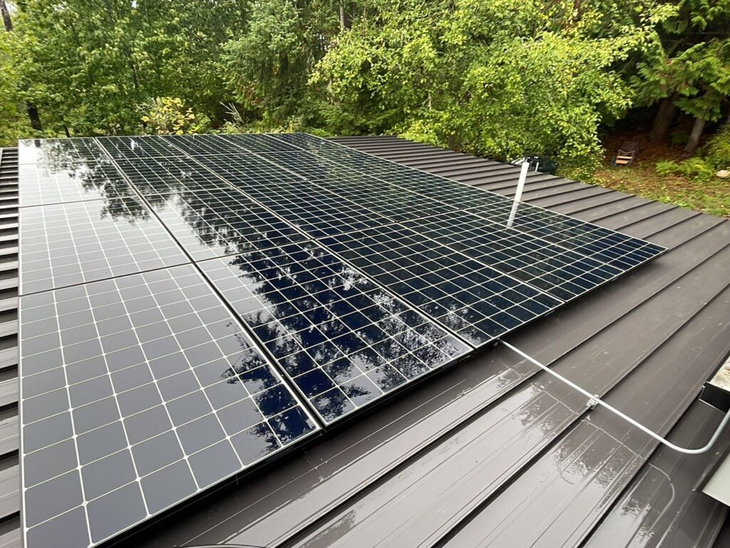 Solar Panels Cleaning