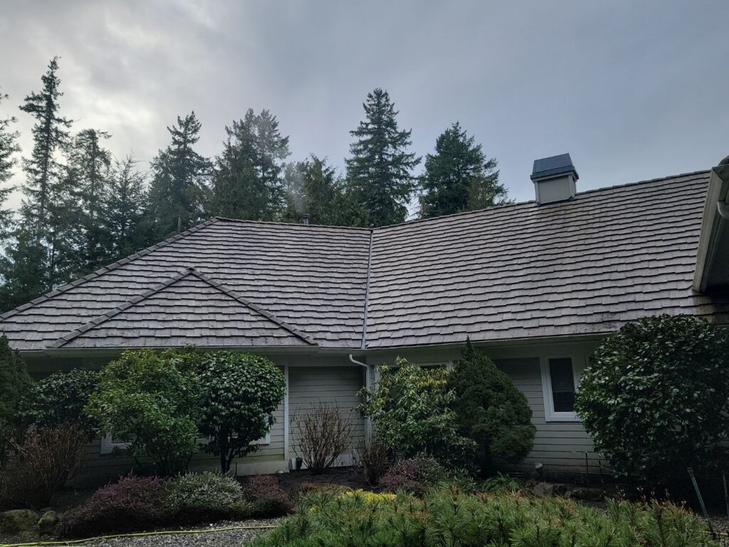 Roof Cleaning