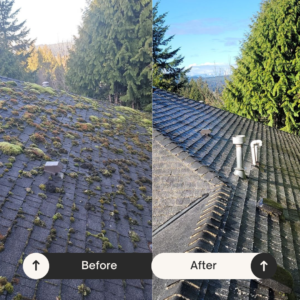 Roof Cleaning Services