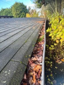 Gutter cleaning before fall debris season in Washington