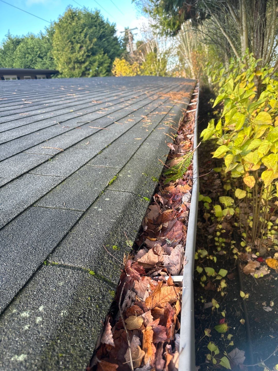 Gutter cleaning before fall debris season in Washington