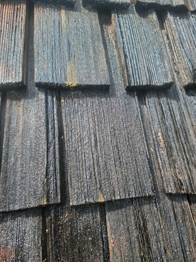 Pressure washing vs soft washing on a Washington home exterior