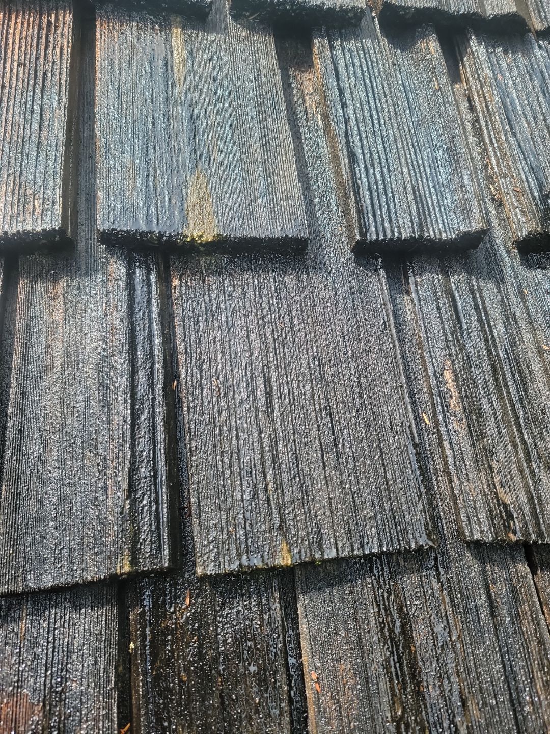 Pressure washing vs soft washing on a Washington home exterior