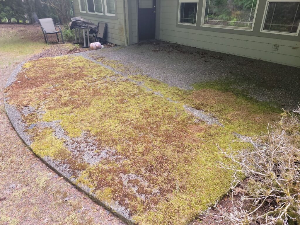 Pressure washing in winter for a Washington home