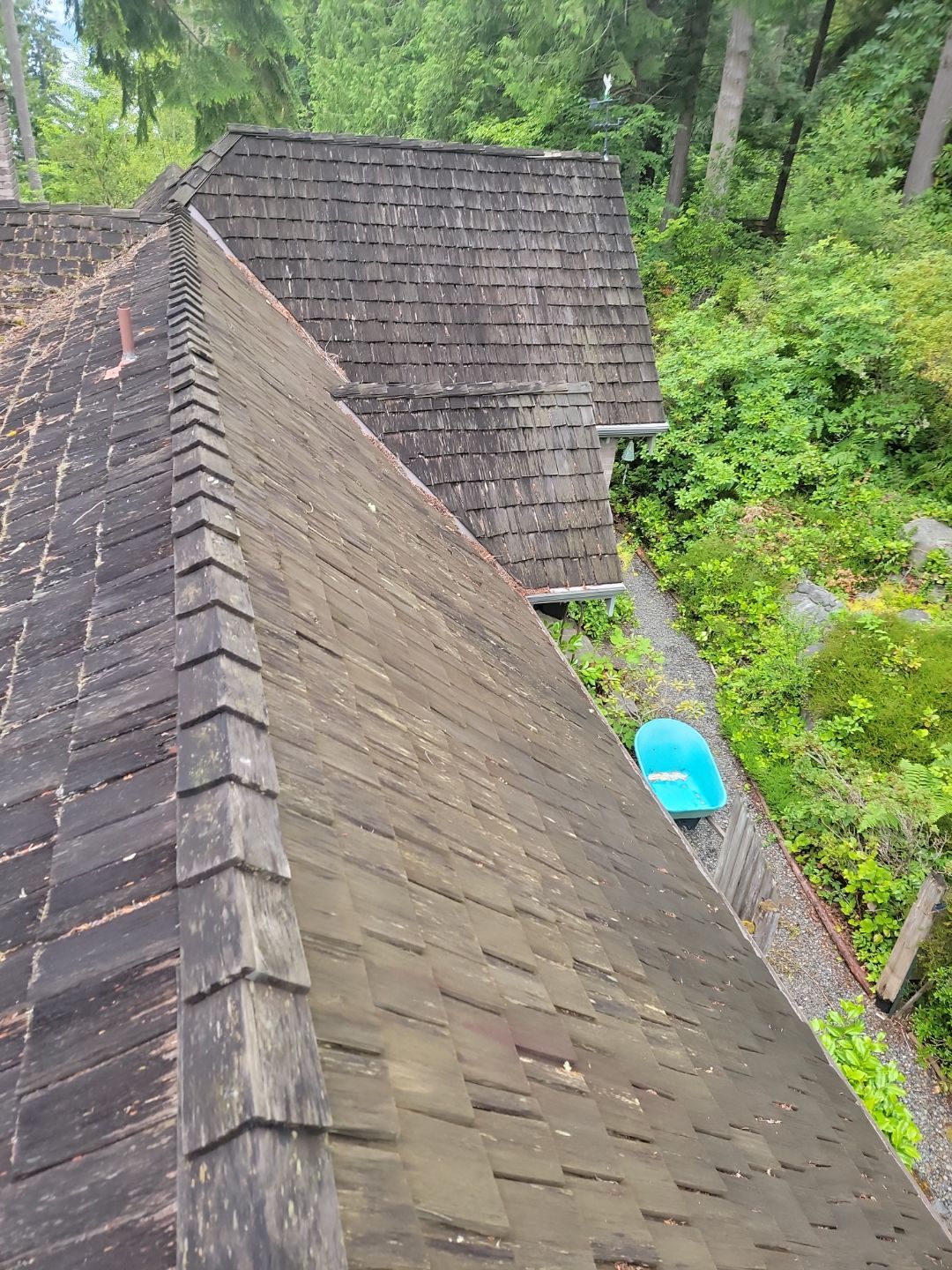 Roof cleaning before fall rain in Washington
