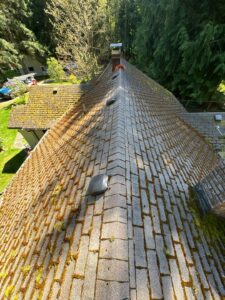 Spring roof cleaning removing moss from a Washington home
