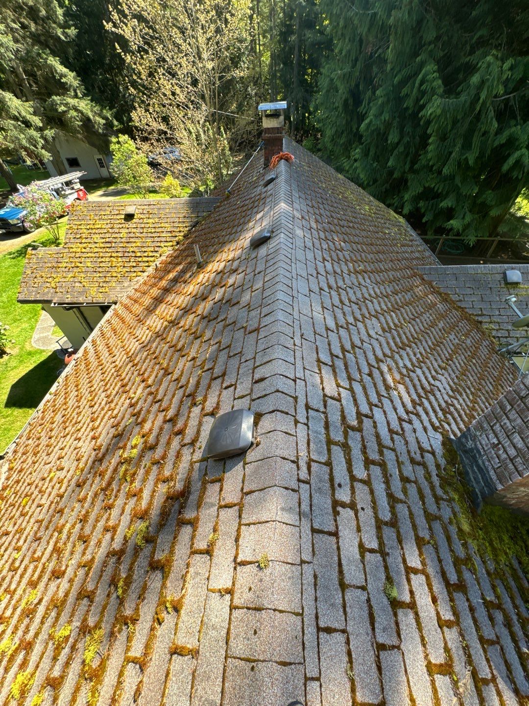 Spring roof cleaning removing moss from a Washington home
