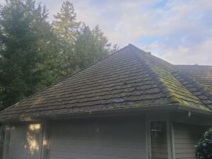 Roof moss removal before summer heat in Washington