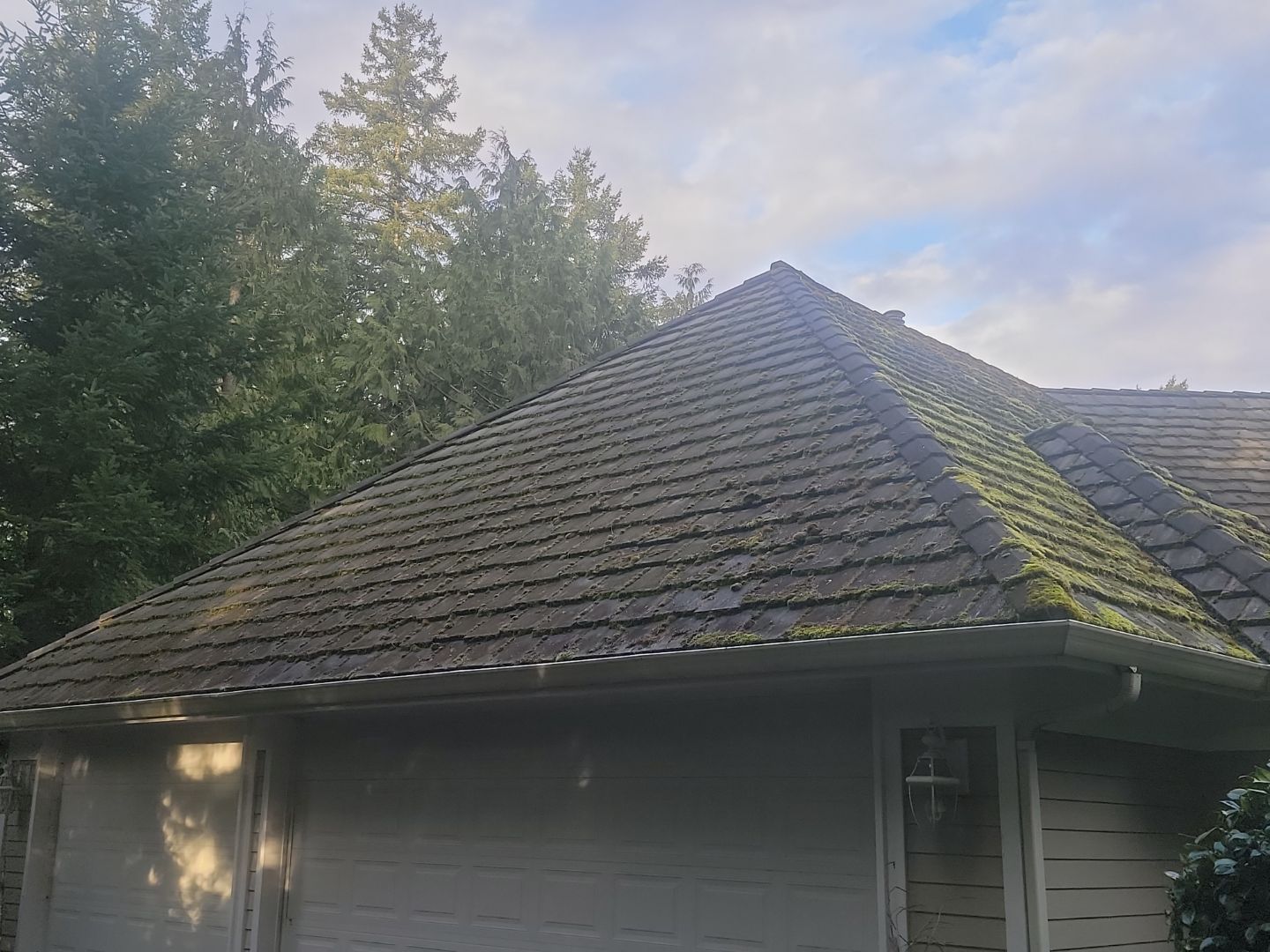 Roof moss removal before summer heat in Washington