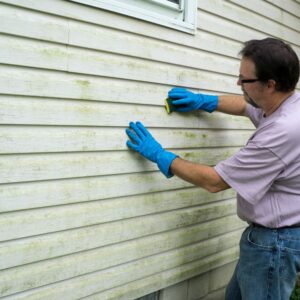 Soft Washing vs Pressure Washing: Which Is Better for Your Home's Siding? 2 The Science Behind Algae Removal From Siding